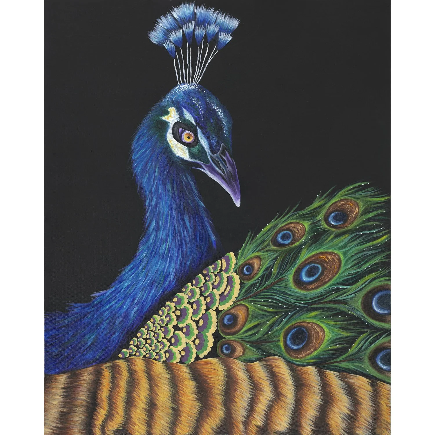 Peacock — Erica Lynne Smith Art
